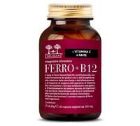 SALUGEA FERRO+B12 60 Cps