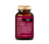 FERRO+B12 SALUGEA 60CPS