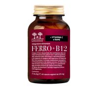 FERRO+B12 SALUGEA 60CPS