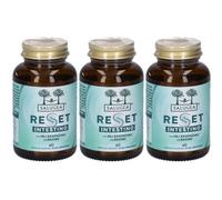 Salugea Reset Intestino Capsule 3x33 g Capsule
