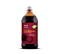Salugea Succo Mangostano Bio Integratore Stomaco e Intestino, 500ml