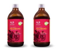 Salugea Succo di Melograno Bio 2x500 ml Soluzione orale