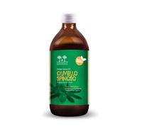 Salugea Succo di Olivello Bio Integratore Ricostituente, 500ml