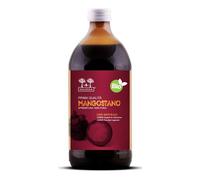 SALUGEA Succo Di Mangostano Bio 500 Ml - Integratore Per Stomaco E Intestino