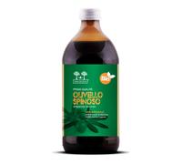 Salugea Succo Olivello Bio
