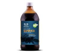 Salugea Succo Sambuco Bio500ml