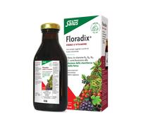 Salus Floradix Linfa d'erbe ricca di ferro 250 ml