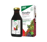 FLORADIX-INTEG FERRO 500ML