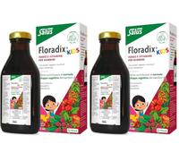 Salus Floradix Kids - Integratore Alimentare di ferro e vitamine per bambini, con vitamine B1, B2, Niacina, B6, B12 e vitamina C - 250 ml (Confezione da 2)
