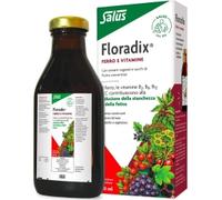 Salus Haus Gmbh & Co. Kg - Floradix Linfa D'Erbe Ricca Di Ferro 500 ml - Integratore Di Ferro E Vitamine