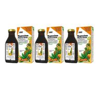 Salus Haus Mangesium Mineral-Drink 3x250 ml Sciroppo