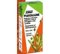 salus haus Piantaggine 250 ml
