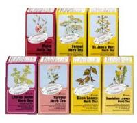 Salus Salvia Tisana 15 Filtri Bio
