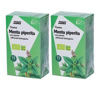 Salus Tisana Menta Piperiata 2x30 g Bustine filtro