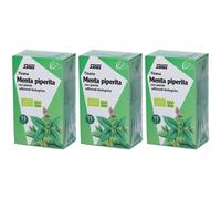 Salus Tisana Menta Piperiata 3x30 g Bustine filtro