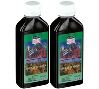 Salutare RAIHUEN® Olio 31 2x100 ml Soluzione