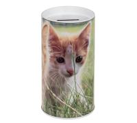 Salvadanaio Lattina per bambini Cuccioli Cani e Gatti. Salvadanaio Originali in Lattina con Coperchio per bambini che può essere utilizzato anche come contenitore per matite. (gattino bianco)