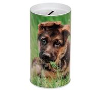 Salvadanaio per bambini Cuccioli Cani e Gatti. Originale salvadanaio in latta con coperchio per bambini che può essere utilizzato anche come portapenne. (Pastore Tedesco)