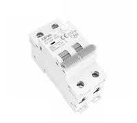 Salvavita Riarmo Automatico Interruttore differenziale GYR9NM 230V 2P 4P con protezione da sovracorrente e cortocircuito RCBO MCB Max 40A(100mA,2P 10A)