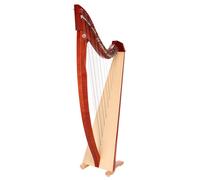 Salvi Titan Cherry Gut Strings
