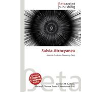 Salvia Atrocyanea: Asterids, Eudicots, Flowering Plant