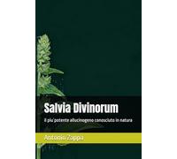 Salvia Divinorum: il piu`potente allucinogeno conosciuto in natura