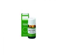 Erboristeria Magentina SALVIA OFFICINALIS OLIO ESSENZIALE 10 ML