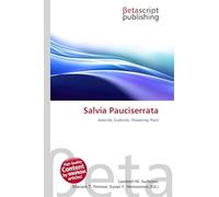 Salvia Pauciserrata: Asterids, Eudicots, Flowering Plant