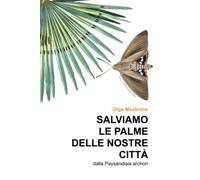 SALVIAMO LE PALME DELLE NOSTRE CITTA': dalla Paysandisia archon