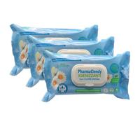 Salviette Corpo Igienizzante con Clorexidina, Detersione Efficace e Veloce Senza l'uso Dell'Acqua, Con Essenza di Menta, Confezione da 72 Salviette (Salviette Igienizzante (3 Unità))