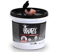 Salviette detergenti Nettuno 00813 SENDY WIPES secchiello con 100 pezzi