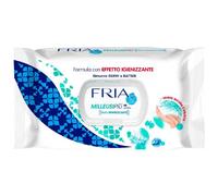 Salviette Igienizzante - Fria MilleusiPiù Set convenienza x12 Pacchi da 48 salvi