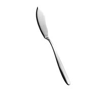 Salvinelli Fast Set Coltelli Pesce Acciaio Inox 18/10, Coltello da Pesce, 12 Pezzi, Spessore 2,5 mm, Made in Italy, Finitura Lucida