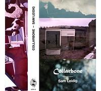 Sam Leidig - Collarbone
