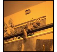 Sam Prekop The Republic (CD) Album