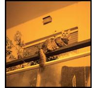 Sam Prekop The Republic (Vinyl LP) 12" Album