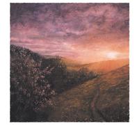 Sam Sweeney & Grace Smith Morning of May (Vinyl LP) (PRESALE 09/10/2026)
