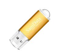 SamData 1 confezione da 64 GB USB Flash Drive USB 2.0 Thumb Drive Memory Stick Jump Drive Zip Drive, Oro