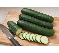 Samen Keimung: 50 - Samen: Sv4719Cs F1 Hybrid Gurke-Samen - a great Slicing Gurke !!! : Package Contains seeds