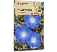 Samen Maier Campanella Tricolore Bio - 1 conf.