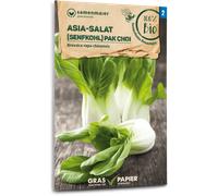 Samen Maier Cavolo Cinese Bio - Pak Choi - 1 conf.
