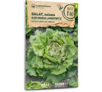 Samen Maier Lattuga Bio - Grüner aus Maria Lankowitz - 1 conf.