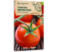 Samen Maier Pomodoro Bio - Berner Rose - 1 conf.