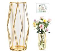 SAMISO Vaso Decorativo da Interno Con Supporto Metallico Geometrico, Vaso di Fiori in Vetro Trasparente 27 cm per Tavolo, Casa, Bagno, Soggiorno, Ufficio