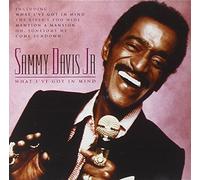 Sammy Davis Jr - What Ive Got In Mind
