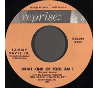 SAMMY DAVIS, JR. - what kind of fool am i / gonna build a mountain