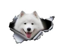Samoiedo, adesivo per auto, 15 cm, bianco, con scritta in lingua tedesca "Samoie", riflettente, per animali domestici, cane, divertente, 3D, strappato, bianco, Samoie", personalizzabile, decorazione