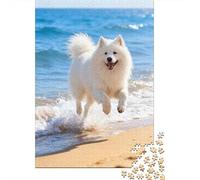 Samoyedo che salta sulla spiaggia 1000 Tessere Cane e spiaggia Cartone Resistente Puzzle Per Ragazzi 14+, Difficile Sfida, Idea Regalo Natale Premium Immagini Vibranti 52x38cm/1000pcs