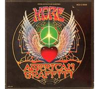 Sampler u.a. mit Martha & The Vandellas, The Angels, The Supremes, Aretha Franklin, The Chantays, Bobby Vinton, Barry Sadler, The McCoys - Hits of the USA - 2 LP's - Sampler