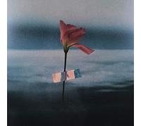 Samson, Will - Paralanguage